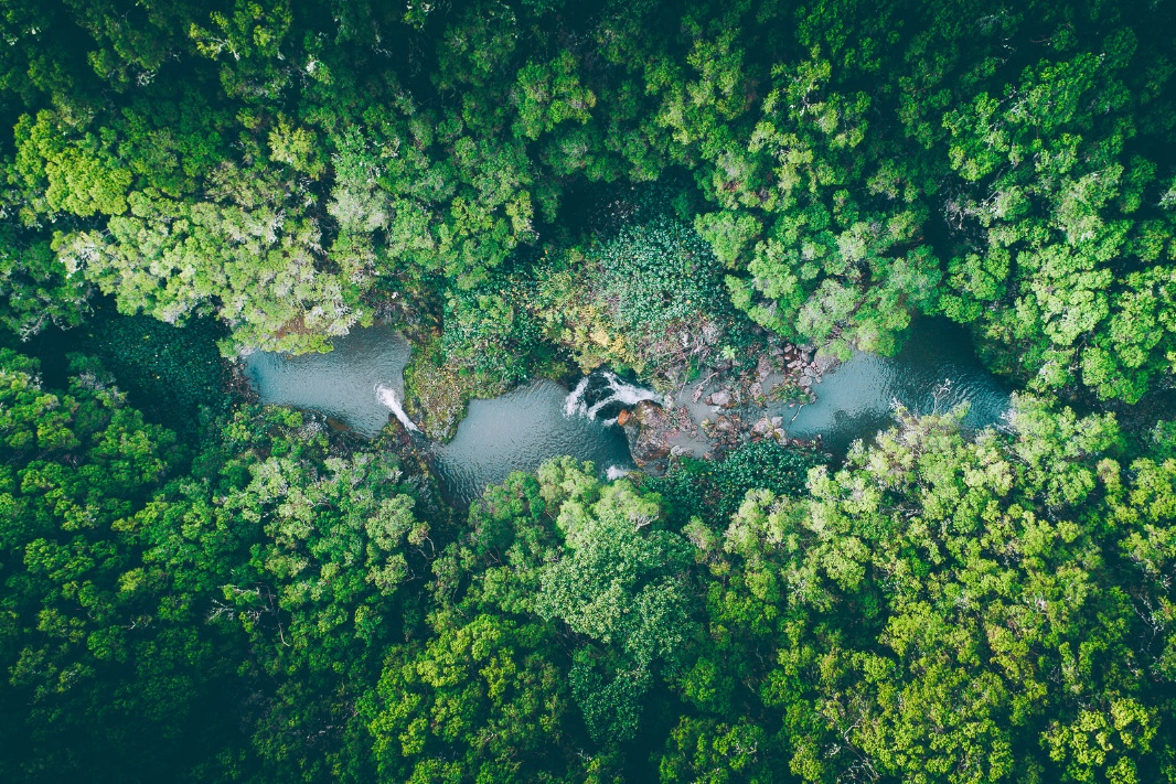 融创翔龙广府壹号限价,黄埔区融创翔龙广府壹号房价