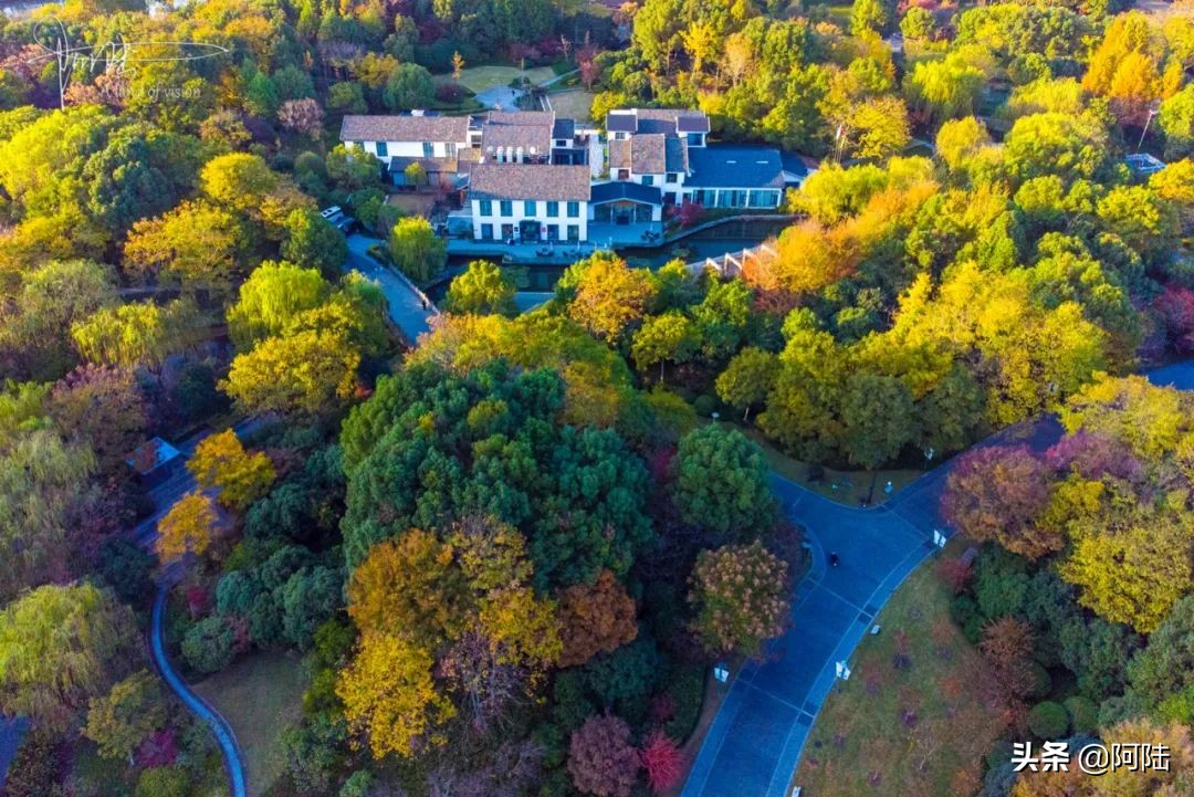 航拍公园篮球场,航拍李宁体育公园