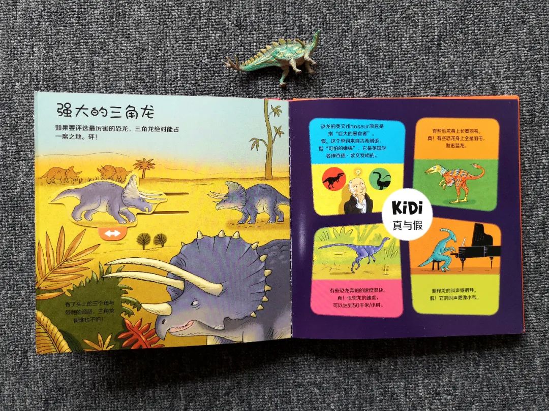 适合孩子看的恐龙科普书,适合5岁孩子看的恐龙科普书