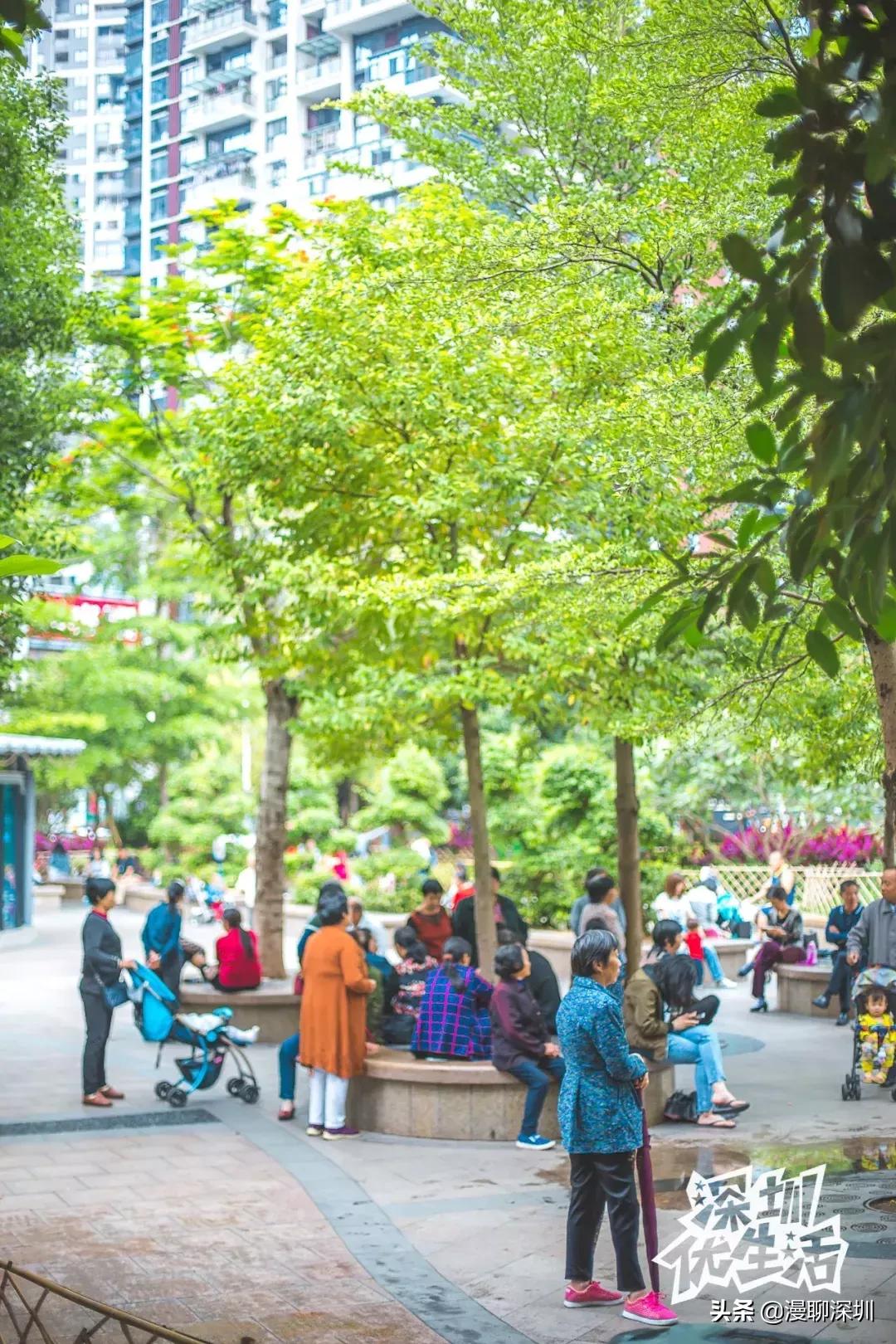 龙华最旺的城中村,深圳龙华城中村排名一览表