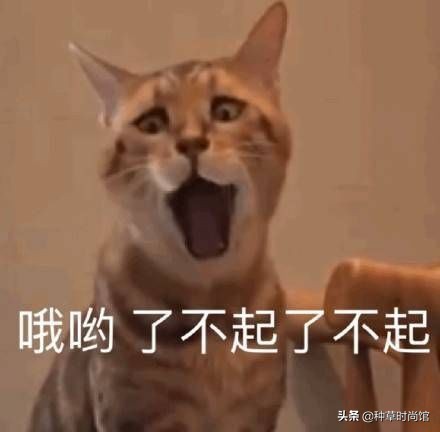 你的洗面奶在黑榜上吗,会烂脸的洗面奶黑名单