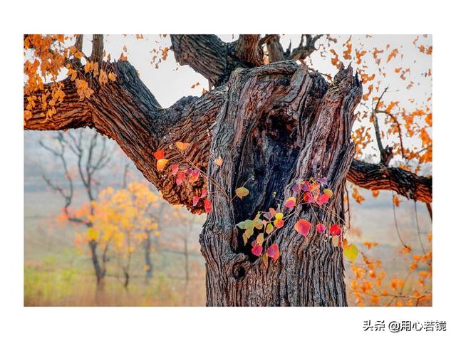 王阳明讲自省,王阳明学会反省