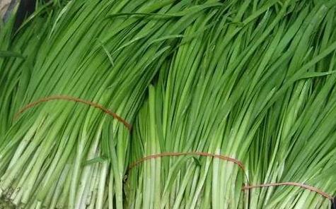 养鸡给鸡吃什么预防药,养鸡喂什么药可以预防病毒