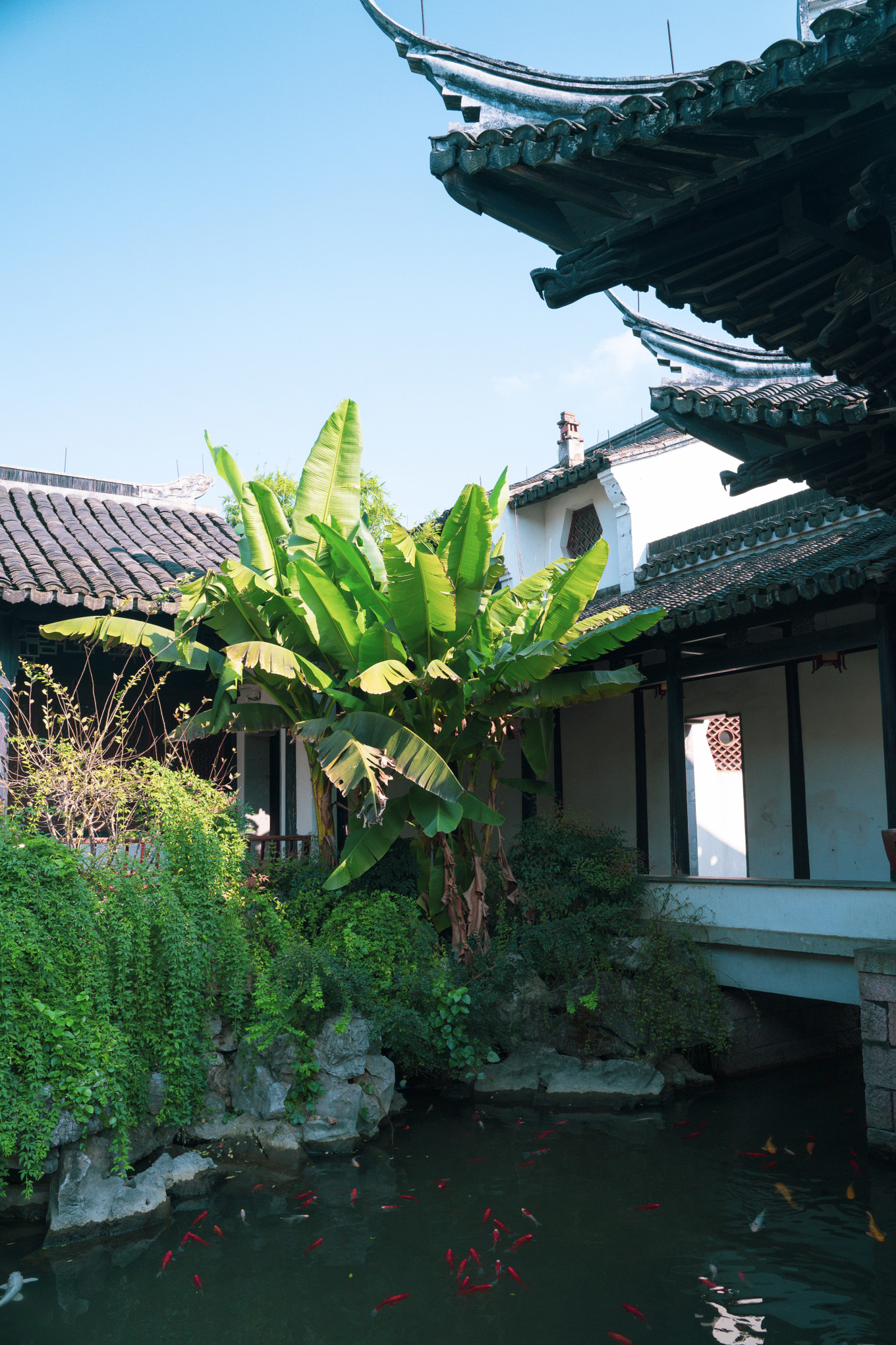 不仅仅是皮革，海清潮静——海宁