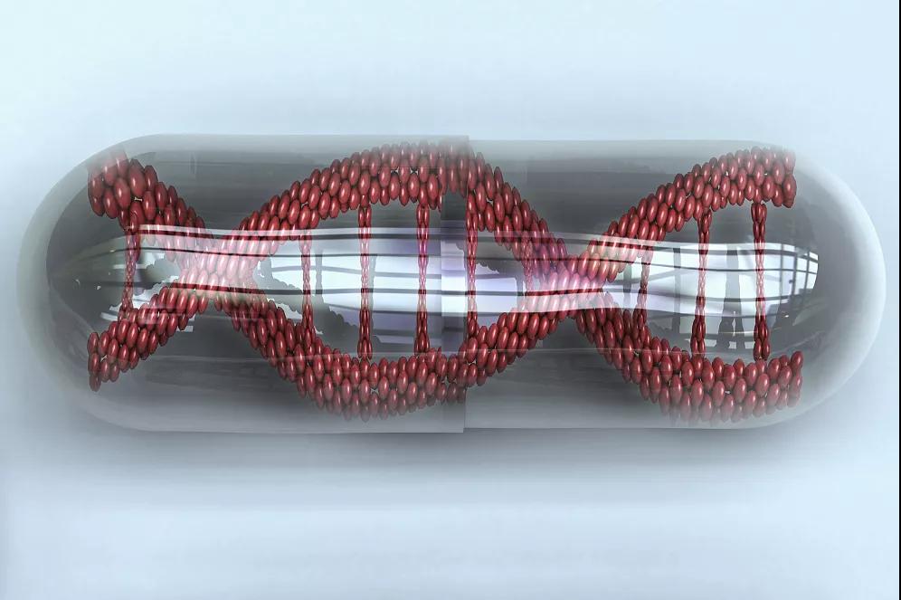 医学前沿:基因治疗概况