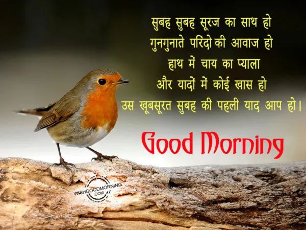 印度人表情包,印度人的表情包