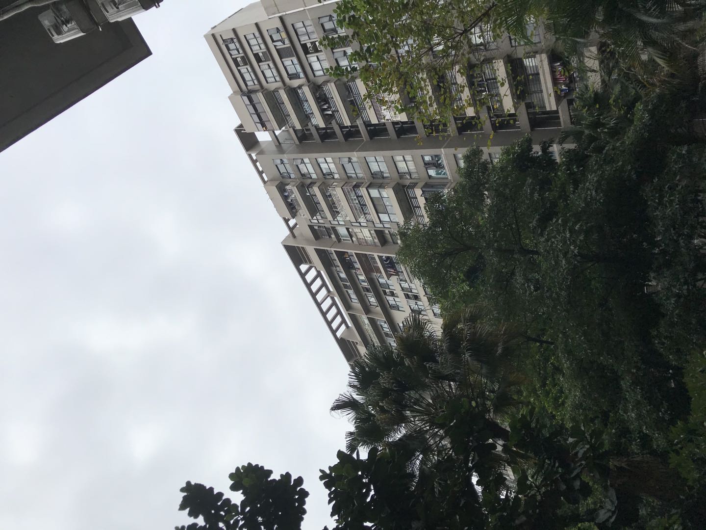 骞垮窞鏃跺皻鏄庤嫅鍊煎緱涔板悧,鏃跺皻鏄庤嫅骞垮窞