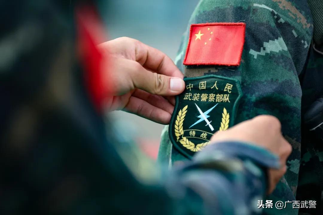 特战队员入列仪式誓词,预备特战队员转正