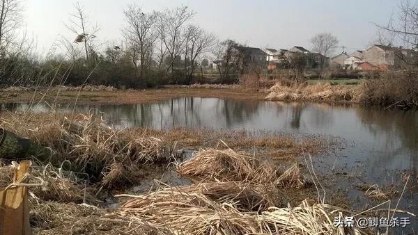 钓鱼人不知道的小技巧,钓鱼技巧野钓鱼不开口用啥饵