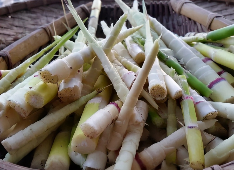 生长在深山老林，比苦瓜还苦，初春又上市，1斤20元，值得去采