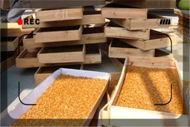 农村目前养殖什么比较挣钱,农村空房养殖什么挣钱