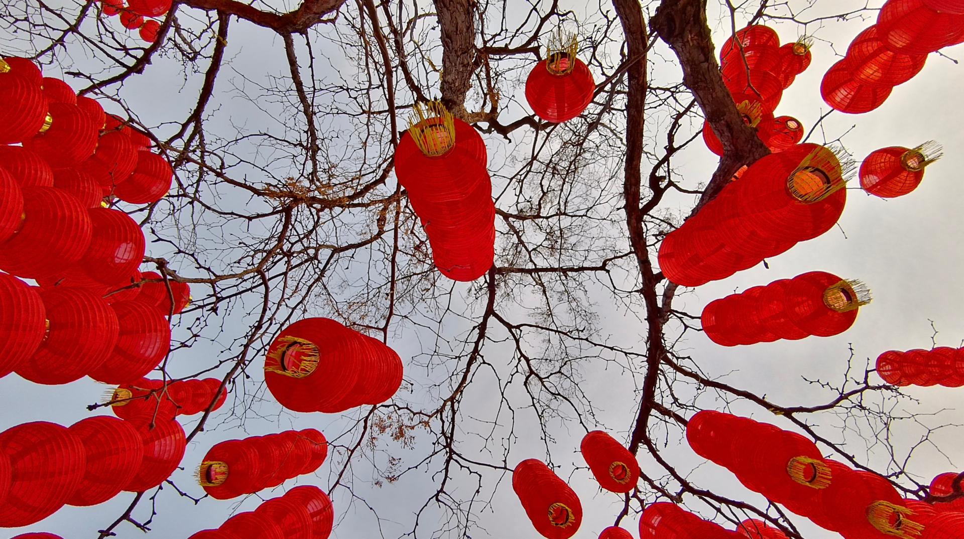 抖音专用云台摄像机,抖音专用防抖便携式的视频摄像机