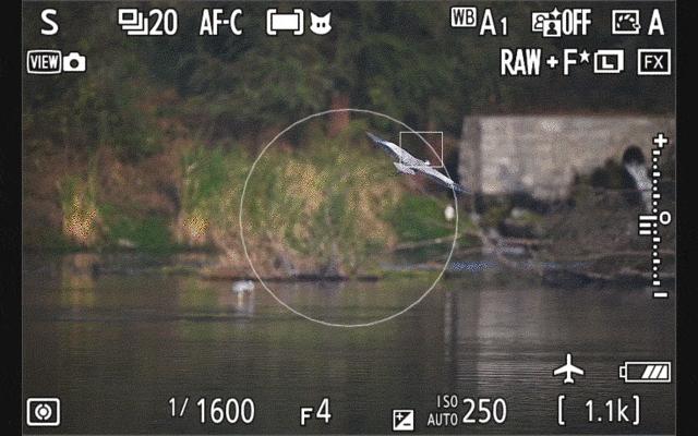 无机械快门的相机,尼康z卡口全画幅相机镜头推荐