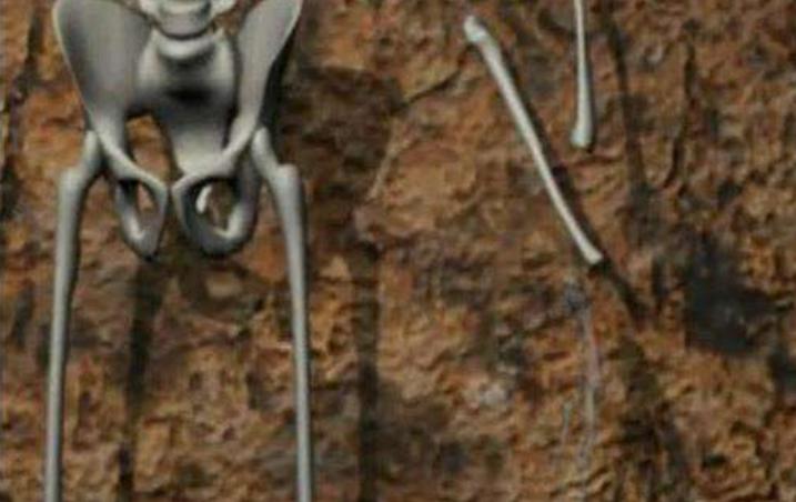 古墓挖出47个少女尸骨,古墓出土22具女骸骨