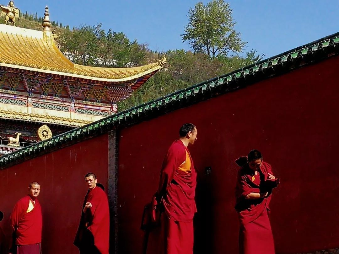 老爸,我想和你一起再做600件事!