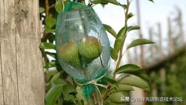 这个环根本拿不出来，是怎么放进去的？十年老师傅动手揭秘