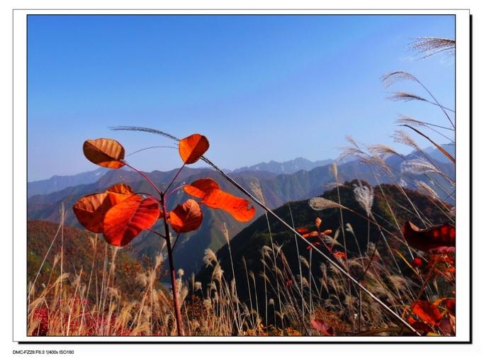 天上掉馅饼砸头了,天上掉馅饼砸脑袋gif