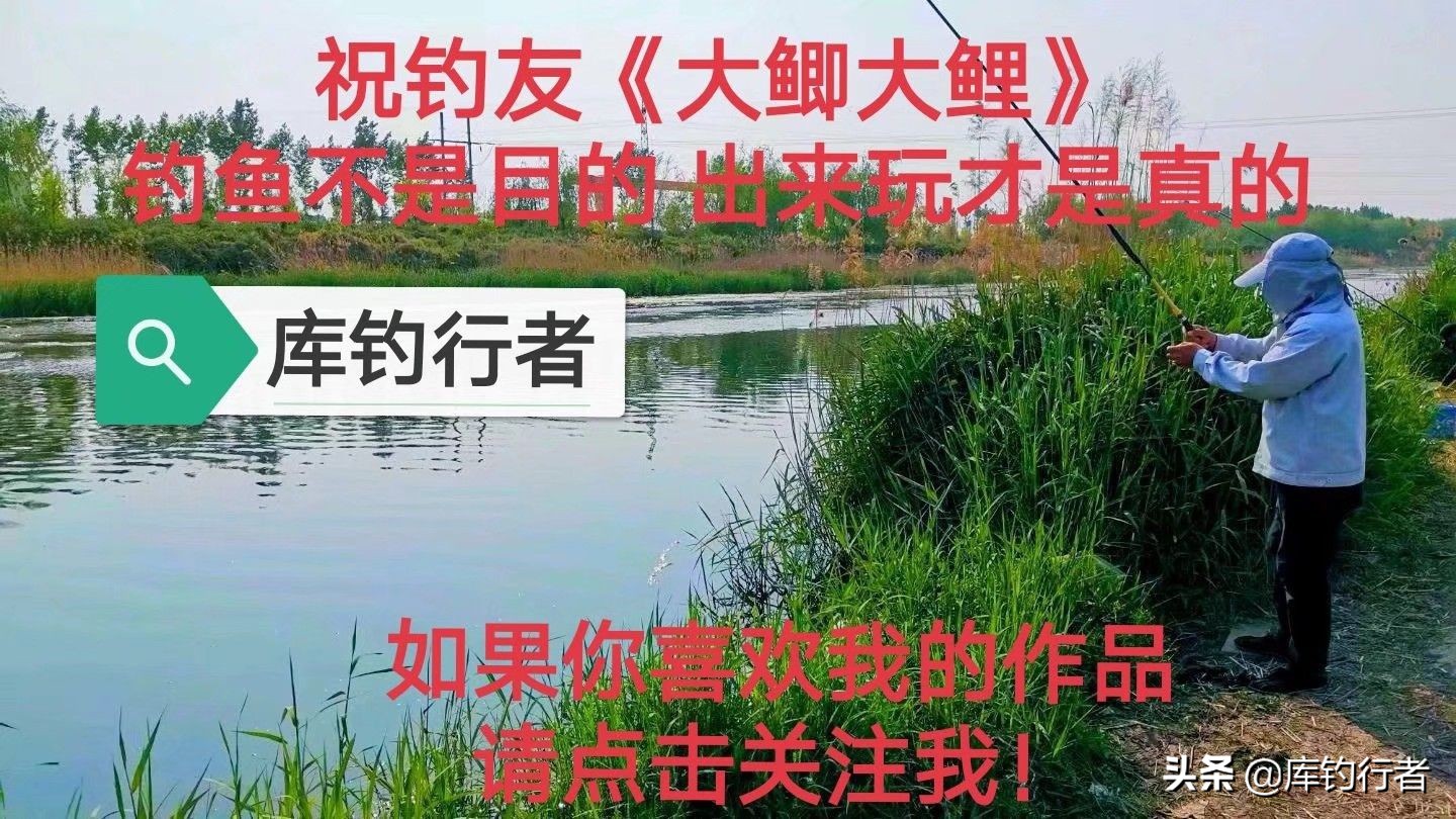 蓝鲫饵料实战评测,测评野战蓝鲫