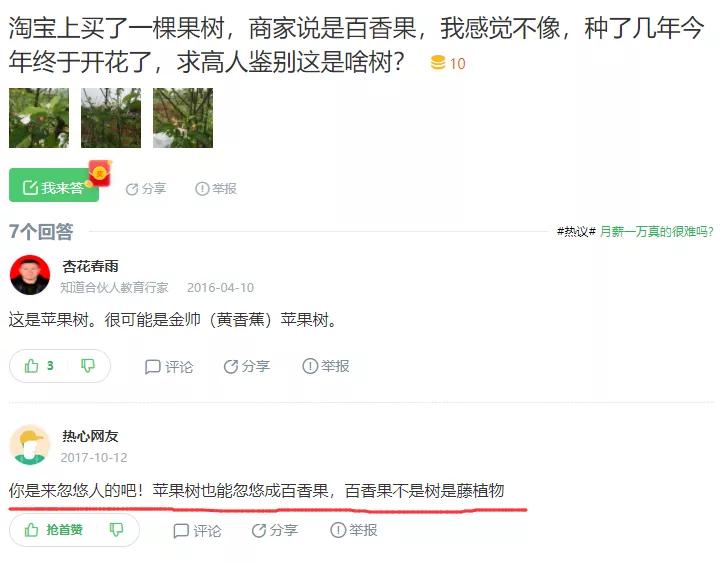 宿迁神苗淘宝,宿迁神苗真假对比