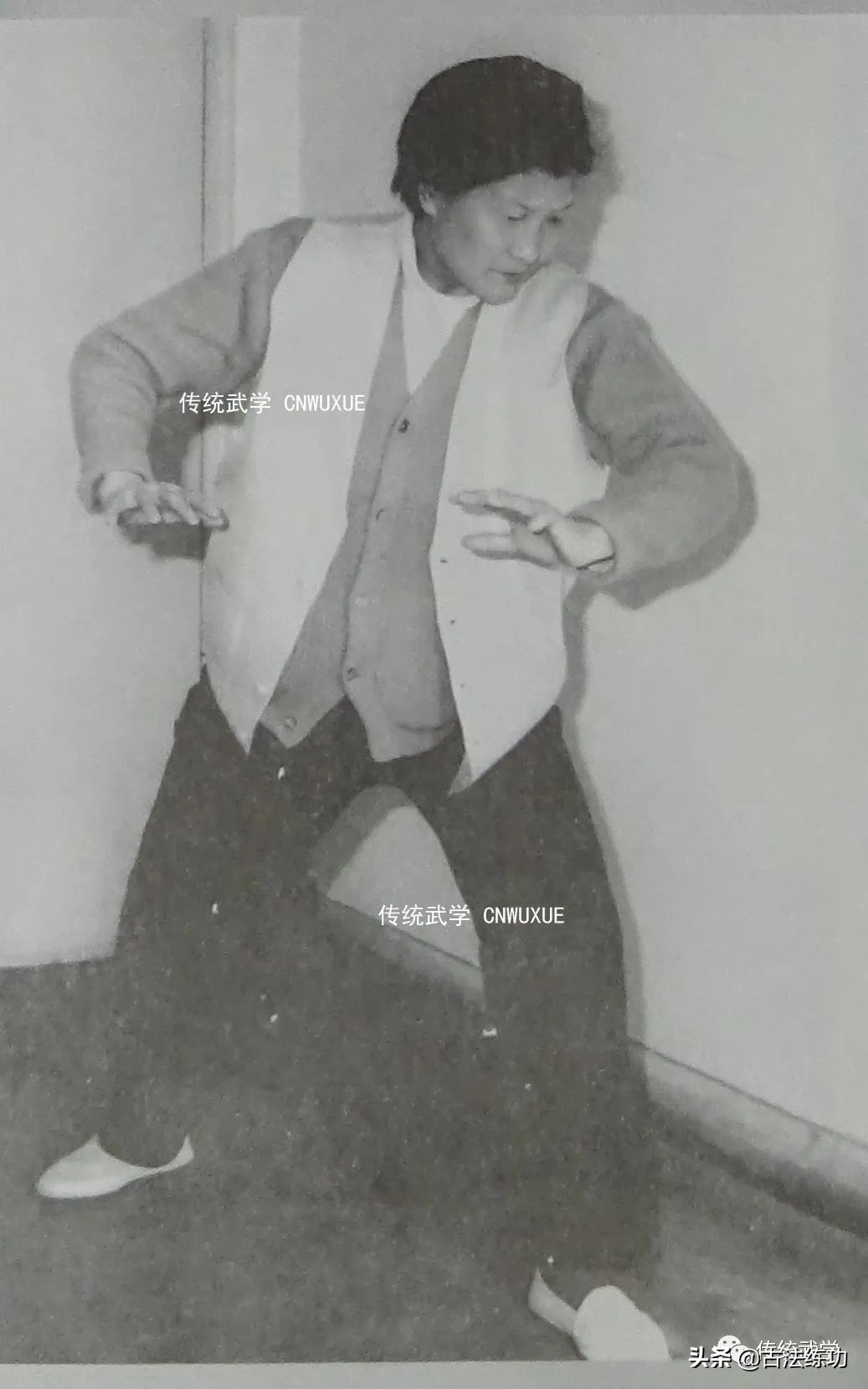 大成拳神龟出水有用吗,大成拳神龟出水视频