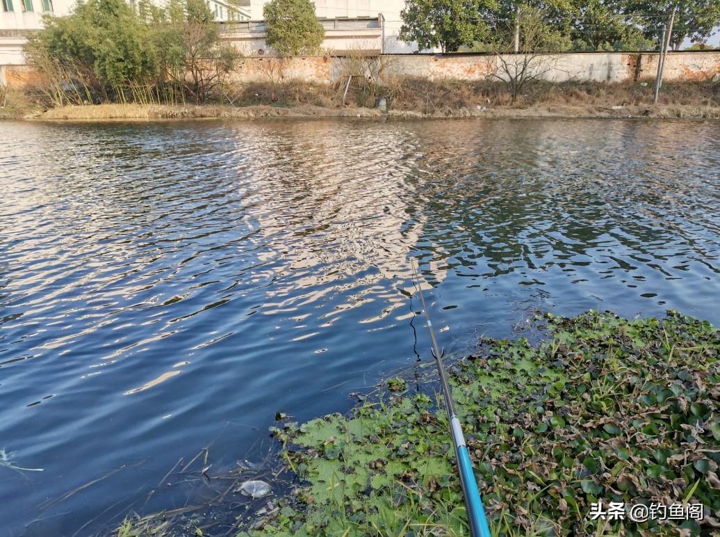 冬季钓鲫鱼是钓阴影好还是向阳好,冬季钓鱼钓顶风还是背风