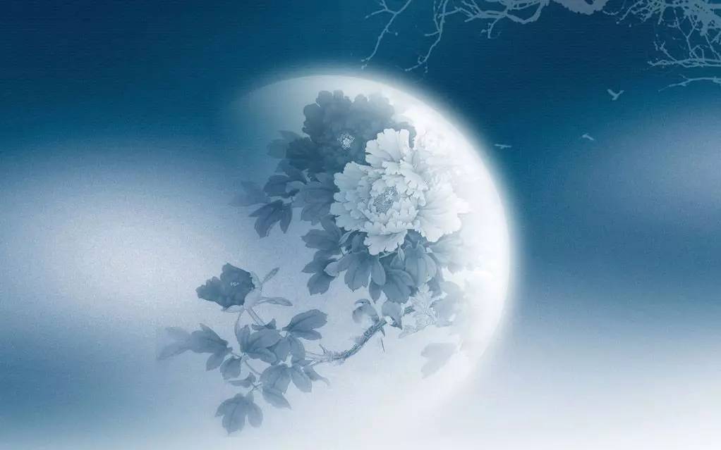 但愿人长久千里共婵娟指的是什么,但愿人长久千里共婵娟是什么意思