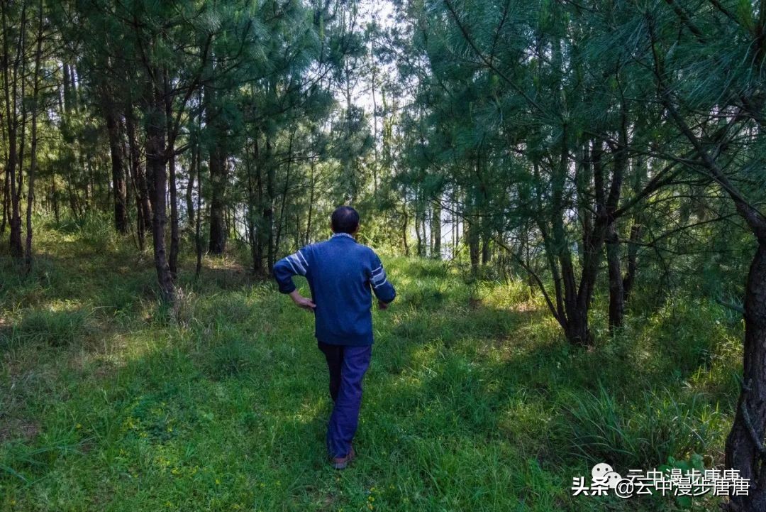 四川岳池黄龙水库,岳池黄龙杨家沟水库