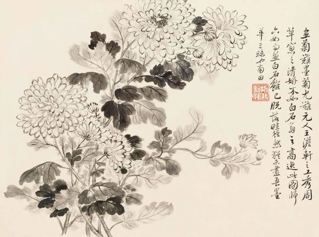 秋菊怎么画简单,秋菊花图片怎么画