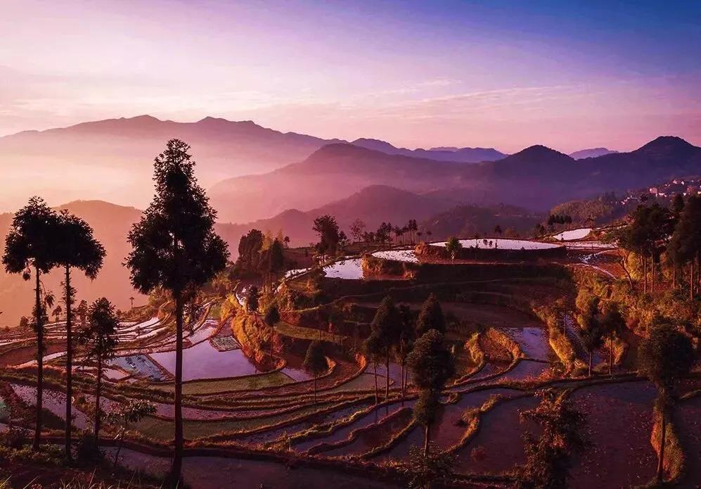 茗岙梯田+楠溪江+瓯江帆影+云和梯田+水墨仙都6日摄影团