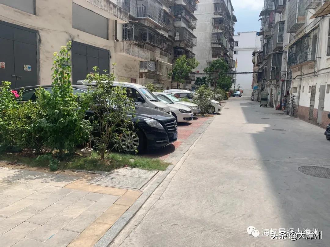 市区教师新村和水仙花园，是脱胎换骨啦！你家老旧小区呢？可留言晒图下