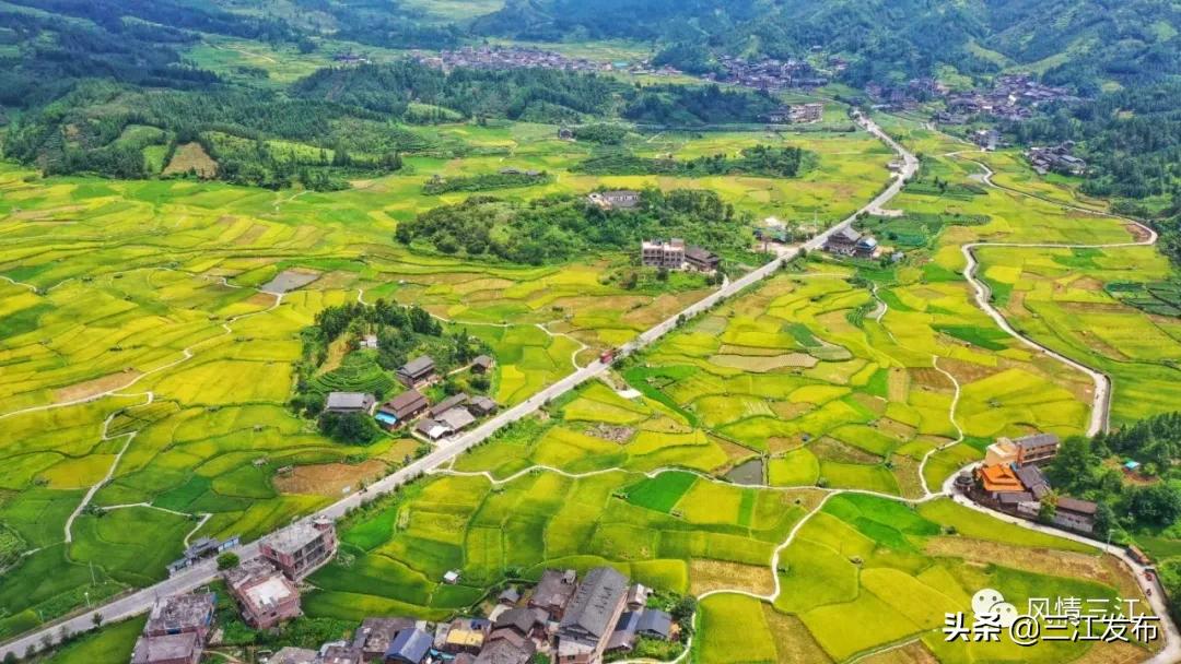 明天早上八点半中央电视台综合频道朝闻天下直播三江号始发，敬请收看