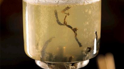 跃YUE|我和现代粤菜料理的三次「跃」会