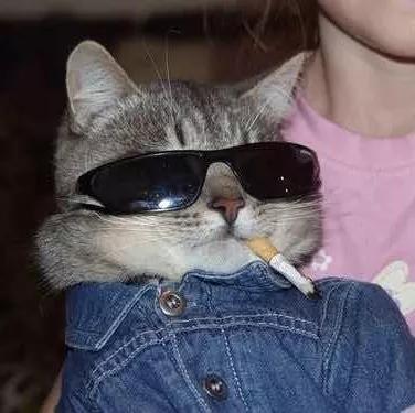 重复文件查找神器,免费文件内容搜索神器