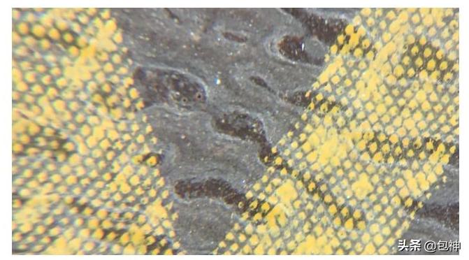 包神-鉴定干货丨LV进阶鉴定及水桶包NanoNoe真伪