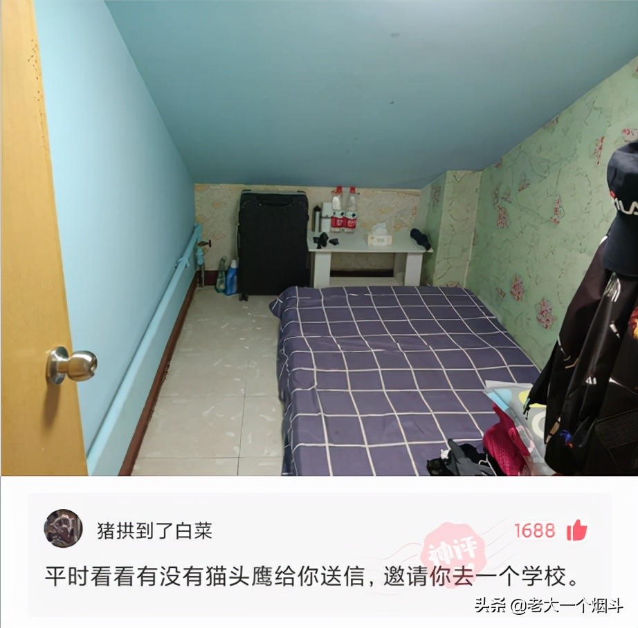 那些让你笑出猪叫的小说,三十个让你爆笑的神回复