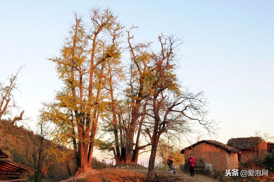 广东粤北最美公路,粤北最美的国道是哪条线