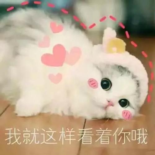 想让眼睛明亮有神吃什么,想要眼睛更亮护眼方法不重样