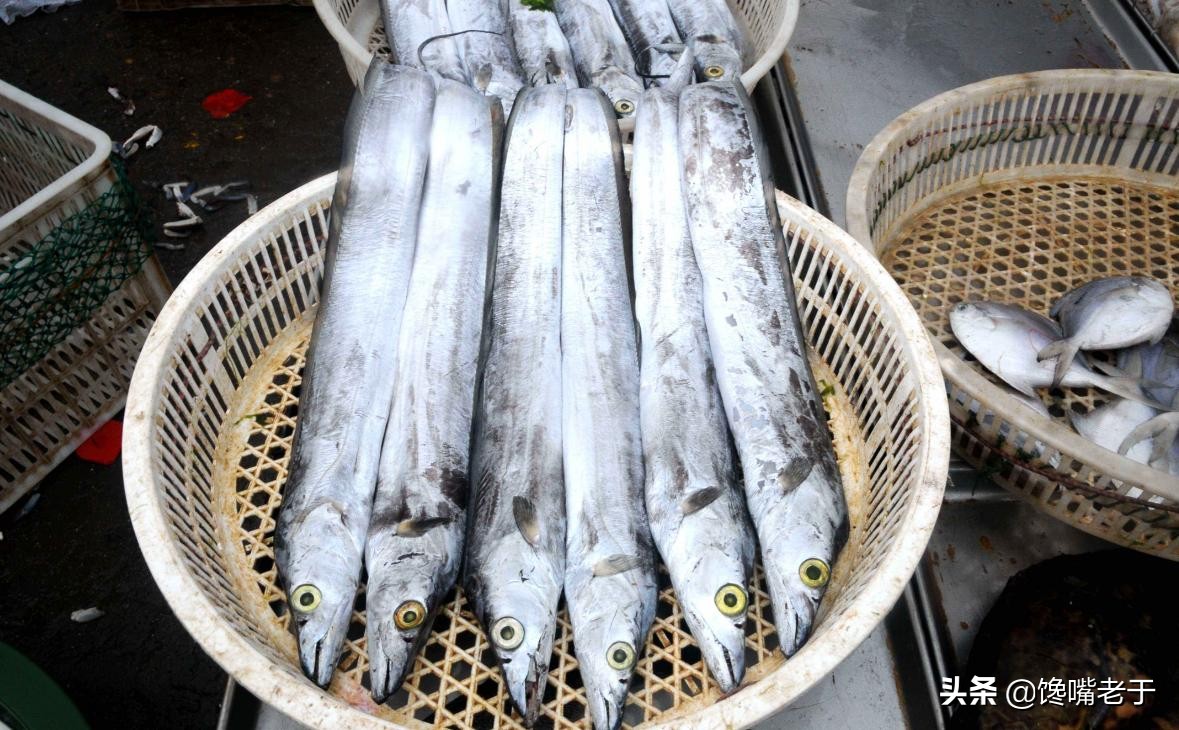 带鱼为什么是深海鱼却那么便宜,带鱼为什么只在深海里才能活