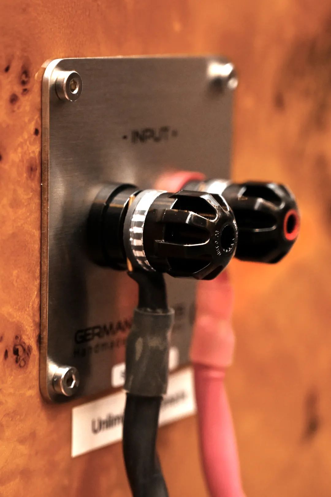 PROFESSIONALSPEAKERS闊崇,germanphysics闊崇