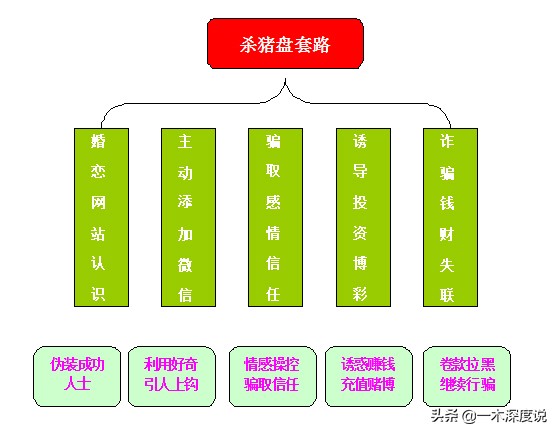 杀猪盘案例及解析,杀猪盘感情案例