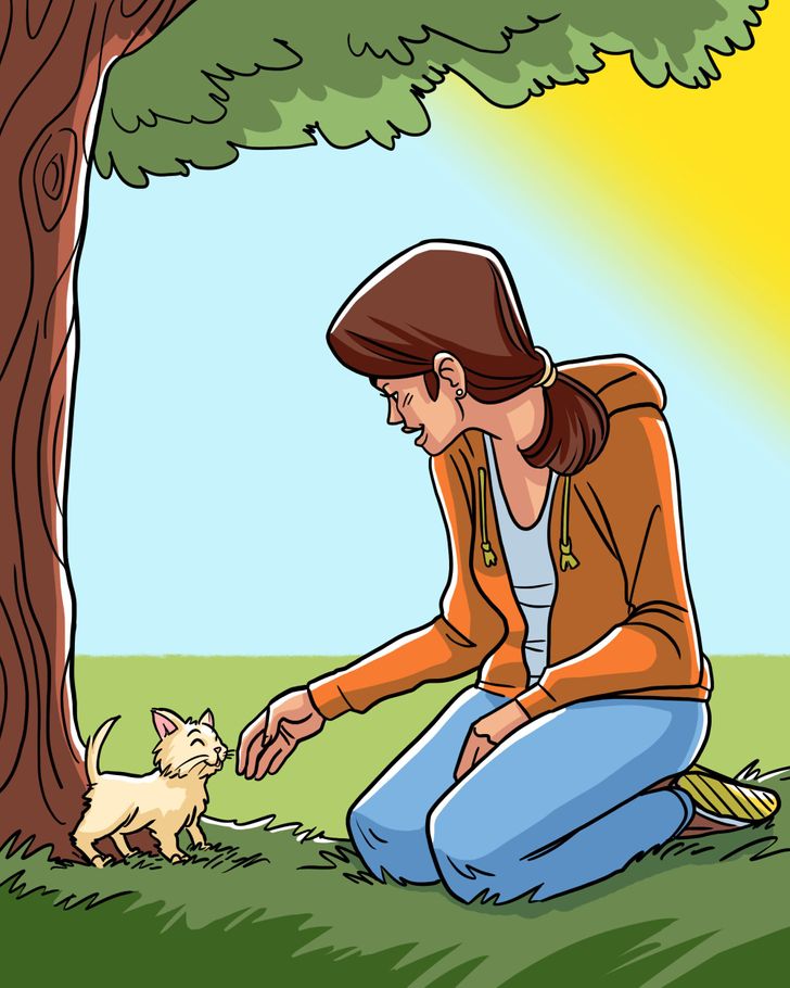 笑话关于猫咪,笑话关于猫咪的