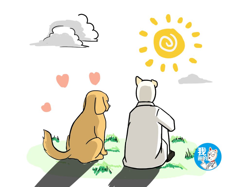 狗狗得了湿疹涂什么,狗狗得了湿疹能不能洗澡