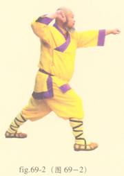 少林心意门拳视频教程,少林长护心意拳图解