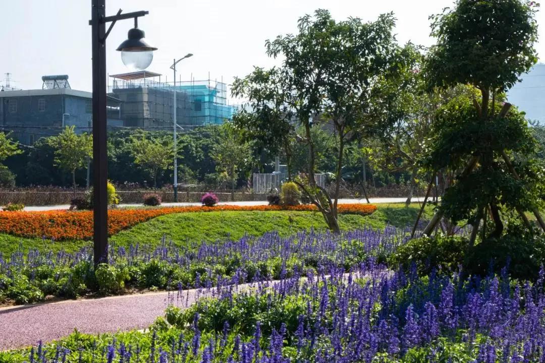 在大山深处幽静绝美的村落,深藏大山中的村落
