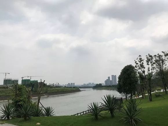 金融城三期最新方案,最新工程进度视频