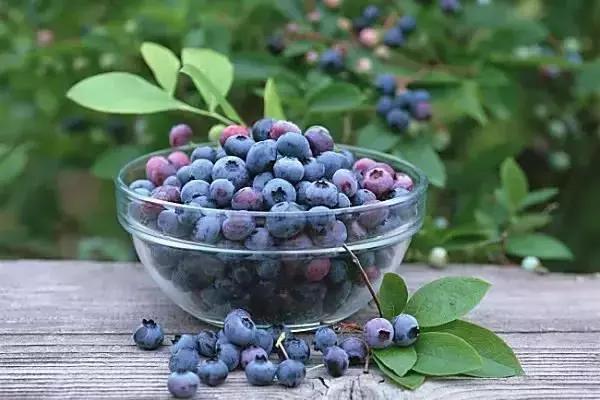 娘家人为您推荐蛟河休闲旅游精品景点