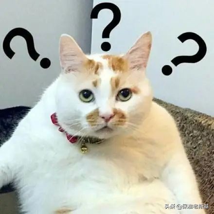 4类职业可以买的保险,4类职业可以买的医疗保险