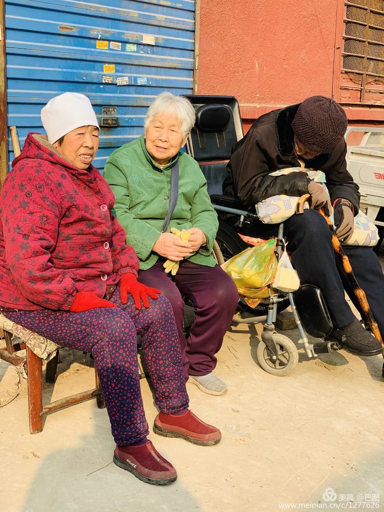 涧西牡丹广场老照片,洛阳牡丹手机拍照