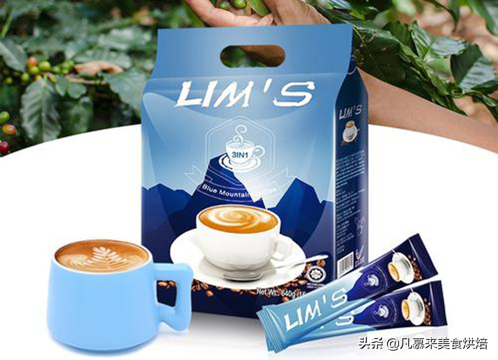 云南咖啡高端咖啡,云南咖啡店被吐槽