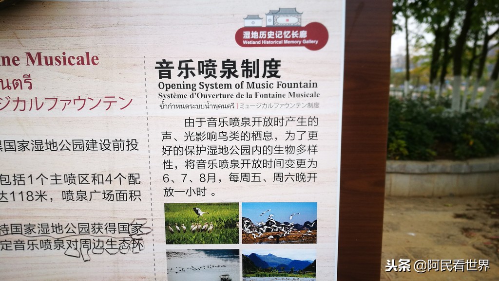 云南普者黑元阳坝美6天旅游攻略,云南建水普者黑旅游路线